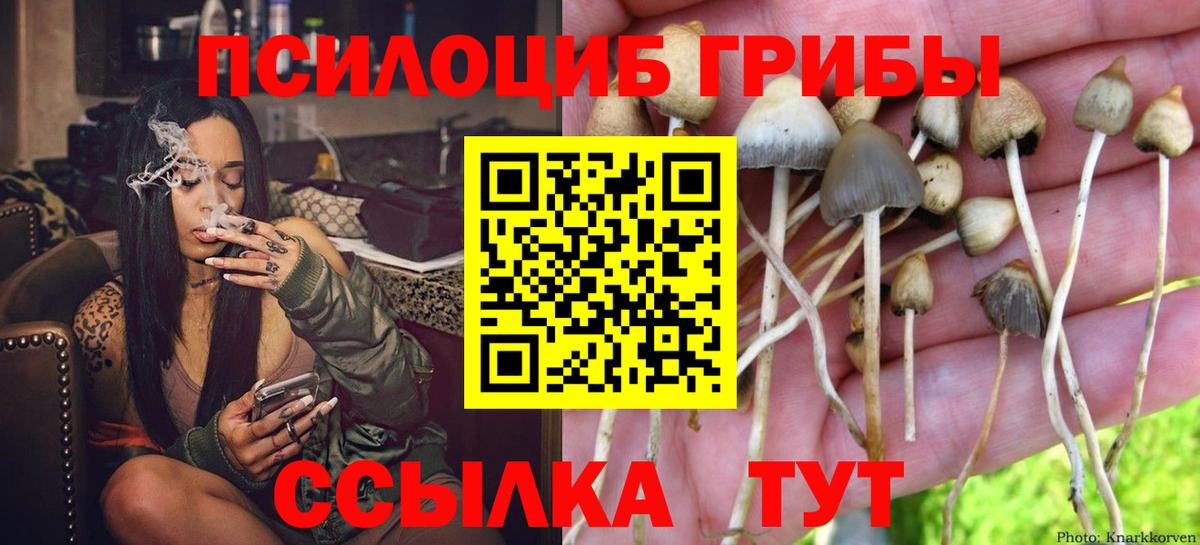 Якутск  Псилоцибиновые грибы мухоморы  Вход с VPN 