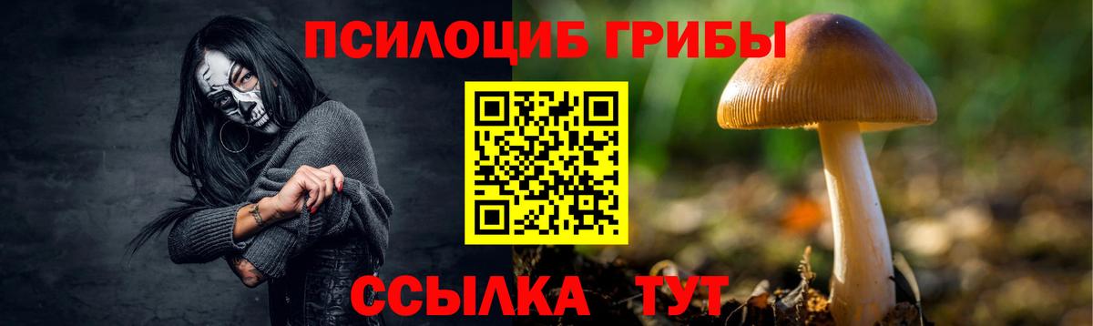 Псилоцибиновые грибы GOLDEN TEACHER Якутск